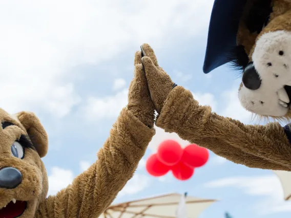 Wilbur & Wilma high-fiving